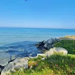 Appartement Limiria Santa-Maria-Poggio (Corsica)